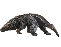 μυρμηγκοφάγος